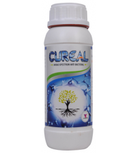CUREAL - Zinc Based Anti Bacterial 1 Litre